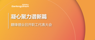 凝心聚力谱新篇 凯发锂业第五届职工代表大会顺利召开