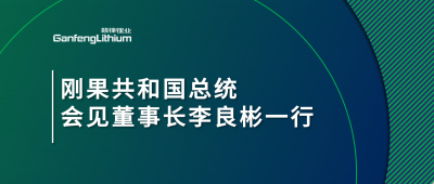 刚果共和国总统会见凯发锂业董事长李良彬一行