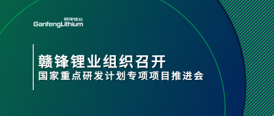 凯发锂业组织召开国家重点研发计划专项项目锂产业集聚区循环化升级集成技术及示范推进会